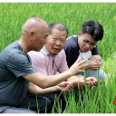 宜章县：引导农户科学施肥 助力绿色农业发展