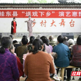 桂东：业余宣讲进乡村 政策戏曲送到家
