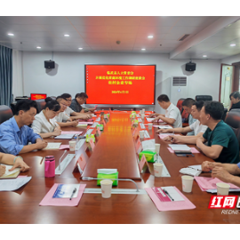 临武人大：强力监督营商环境