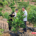 华中农业大学植物科学技术学院社会实践团队走进宜章