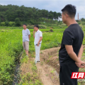 临武县麦市镇：凝心聚力解民忧 振乡村