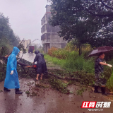 汝城县卢阳镇：  干群携手灾后重建 美丽家园重焕新颜