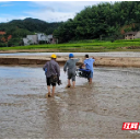 国网桂阳县供电公司：水退人进路通电通，众志成城抢修复电