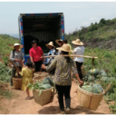 造林大户蔡忠元：发展生态产业 守住绿水青山