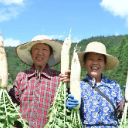 桂东：高山有好菜 “丰景”自然来