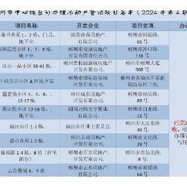 郴州市中心城区新增可办证项目名单（2024年第4期）