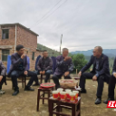 “福城福彩 造福郴州”——郴州市福彩公益金资助项目系列报道（六）：助力乡村振兴共创美好生活