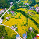 桂东大塘：屋场里响起阵阵掌声