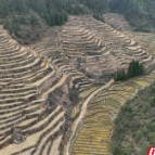 郴州：新耕唤醒土地 田野奏响乐章