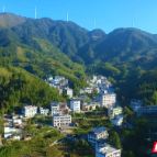 民宿集群点亮共富路——记桂东县沤江镇金洞村党支部书记罗志红