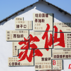 组图 | 郴州城东花海盛放引客来 粉黛格桑绘就秋日浪漫画卷