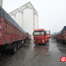 组图 | 安仁县：农民雨中好送粮  智能化撑起“遮雨伞”