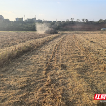 桂阳县樟市镇：秸秆“归田”变“营养” 生态农业焕“新颜”