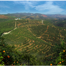 哲学里的郴州 | 全省先进!永兴县的创业沃土何以炼成?