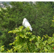 宜章县赤石乡：秋日田园风光美
