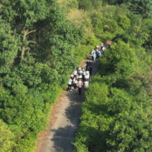 “神农故郡”药韵香  气象赋能谱新篇