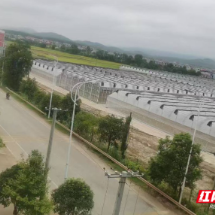 6个月建成投产!安仁大源集团以项目“加速度”践行“农业强县”使命