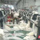 嘉禾县:党建引领强根基 多元发展促振兴