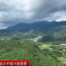 苏仙区:高山蔬果香飘大湾区 农旅融合铺就致富路