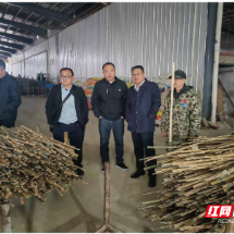 临武人大:代表建议破解企业用电烦恼