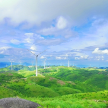 守护绿水青山，推动绿色发展