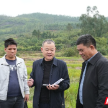 嘉禾县：监督护航民生实事项目落地