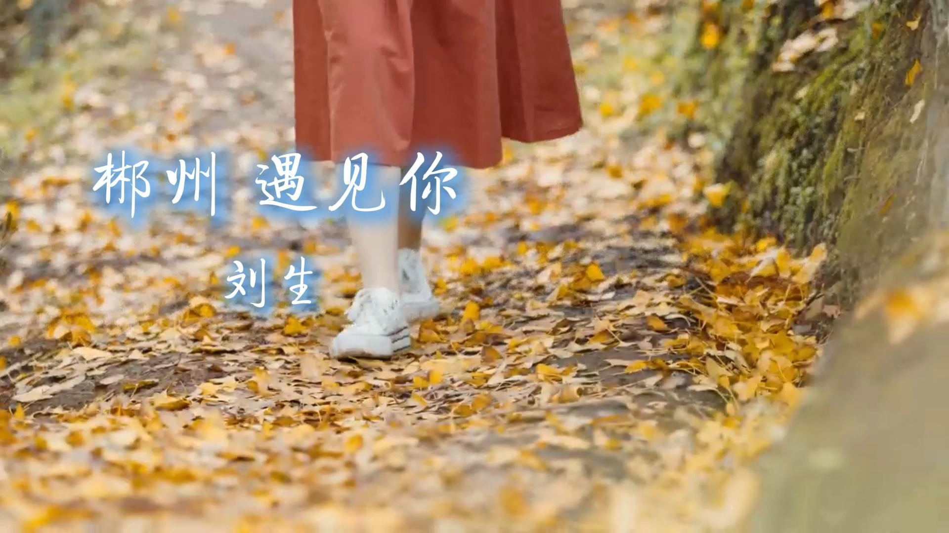 歌曲MV《郴州遇见你》