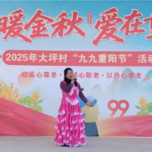 汝城重阳敬老风蔚然 “银龄”生辉映初心