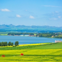 诗歌 | 重阳的重量