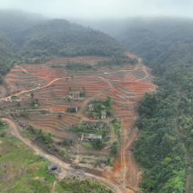 资兴市茶坪瑶族村:建立锥栗基地 铺设村民“致富路”