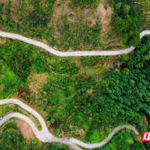 散文 | “顺路”的温暖