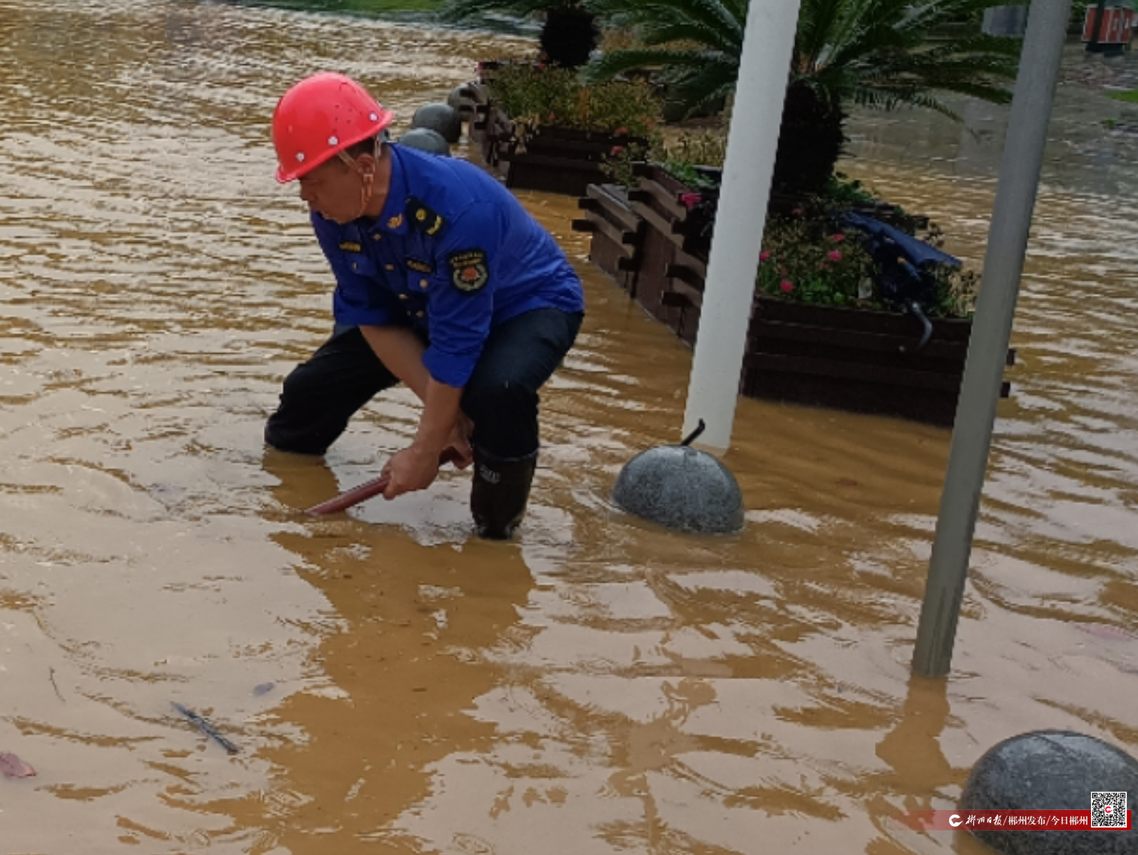 mmexport1761877034102.jpg mmexport1761877034102.jpg