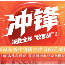 决胜全年“收官战”丨湖南双新生猪屠宰冷链配送项目：日宰600多头稳供应 筑牢湘南肉品安全供应防线
