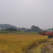 “回收+收割”两不误 先进农机来帮忙