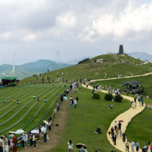 哲学里的郴州 | 北湖的“心”服务：让风景抵达人心