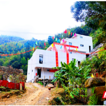 军旅画家雷刚进:以艺术之名守护乡村之美