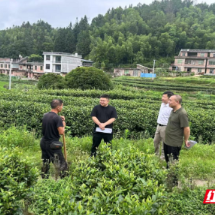 桂东清泉:党建引领强治理 乡村风貌焕新机