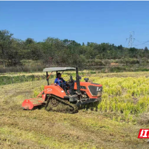 永兴县洋塘乡:秸秆“变废为宝”绘就生态富民新图景