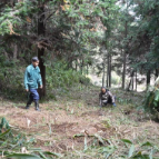 安仁县:林下“藏金”,废液“生财”