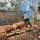 资兴市晋宁路社区:除险护民安