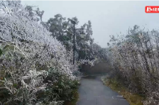 资兴市：回龙山迎来今冬首场雾凇景观