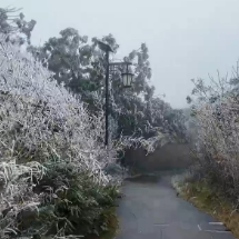 资兴市:回龙山迎来今冬首场雾凇景观
