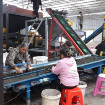 临武人大:赋能企业科技创新