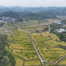 宜章县18.11万亩晚稻收割“丰”景美