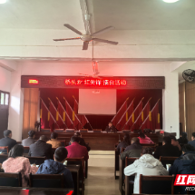 桂东县桥头乡:“红先锋”擂台 燃动乡村振兴实干激情