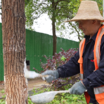 宜章县:树木涂白穿“冬衣” 御寒防虫过暖冬
