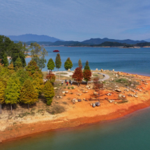 资兴市：初冬湖景美如画 五彩水杉引客来