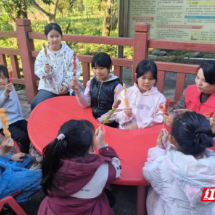 永兴县鲤鱼塘镇:冰糖葫芦DIY活动串起温情