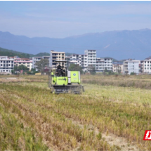 临武县:打捆离田 秸秆为乡村振兴添 “绿能”