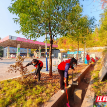 中国石化郴州石油：主题党日助力美化加能站环境